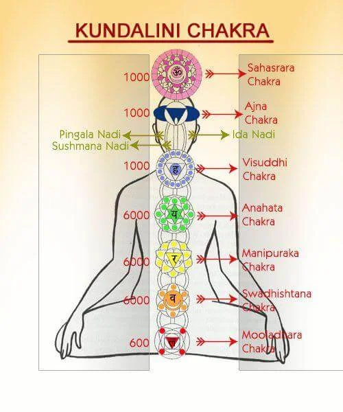 Kundalini Yoga Course