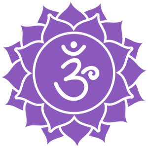 Laya Yoga Retreats in India Laya Yoga Retreats in India